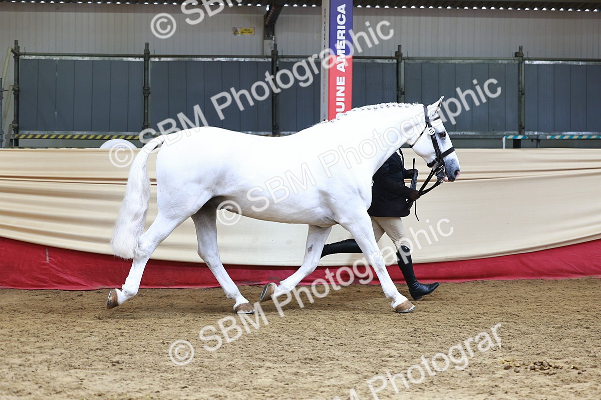 SBM_23191 - Class 903 - Supreme Final - IH Pre Vet