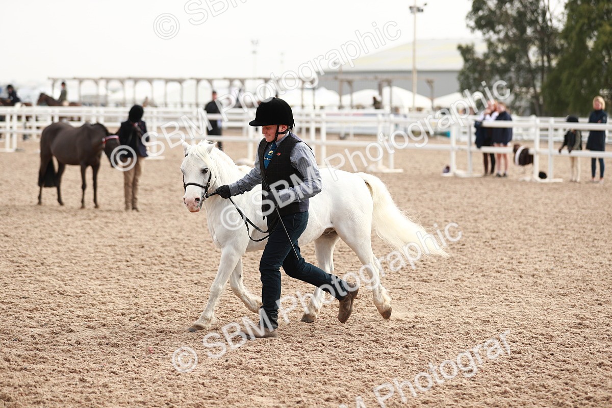 SBM_10557 - Class 204 Young Handler, 11-16 years