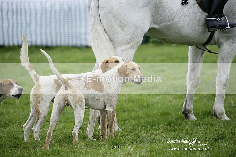 PtP 050322 236 - The Beaufort Races Didmarton 05/03/22