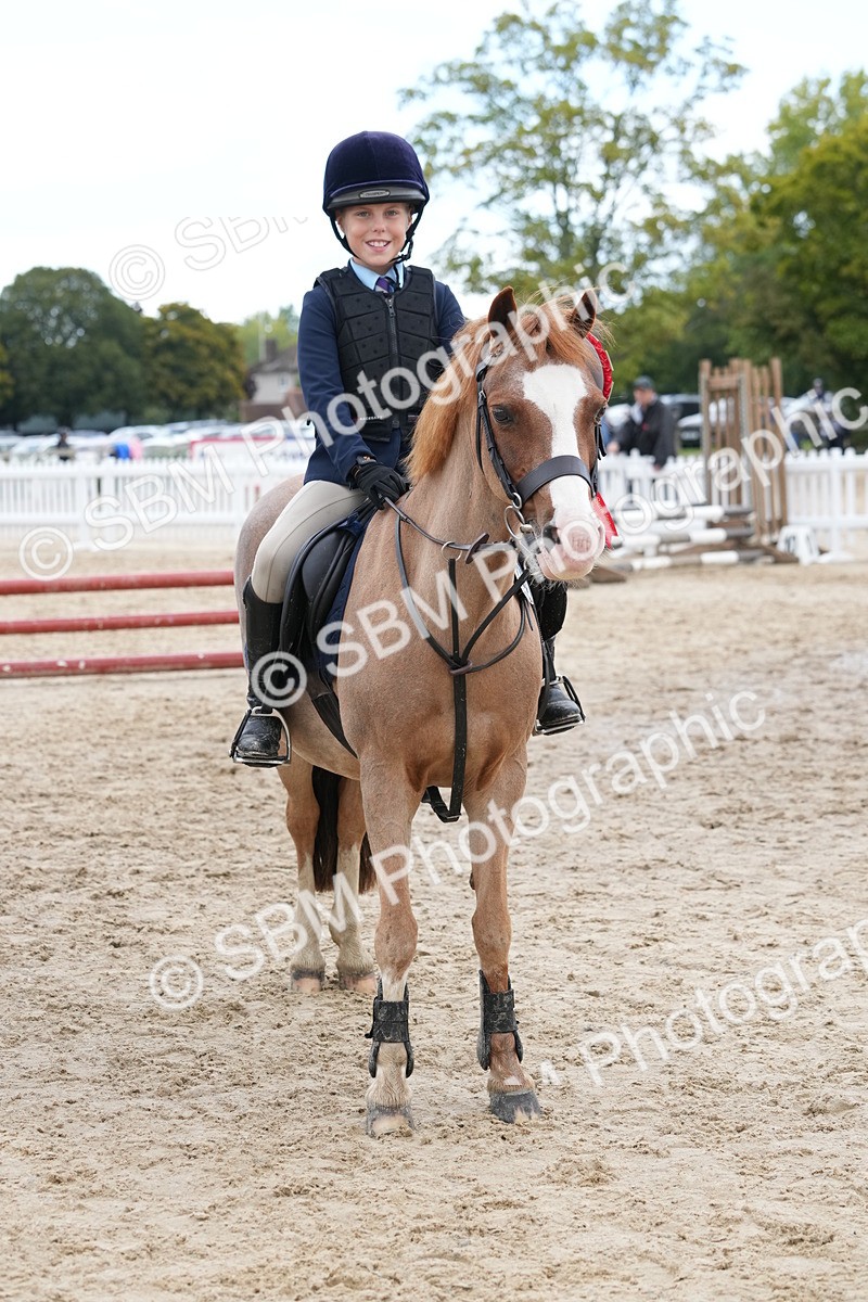 SBM_40890 - Supreme Championship Pony 50-55cm
