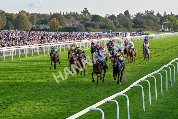 111025-Race 7-Lets Dream-0699 - Race 7 Coral 'Committed To Safer Gambling' Finale Handicap at York
