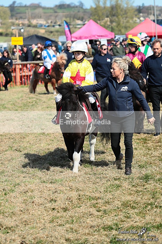 Shet 060426 74 - Shetland Pony Racing Paxford Races Easter Mon 06/04/26