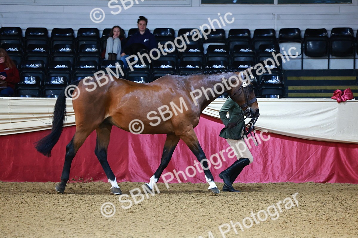 SBM_21704 - Class 901 - Supreme Final - IH  Diamond