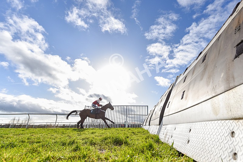 270224-Race 1-Could Be Trouble-1796 - Race 1