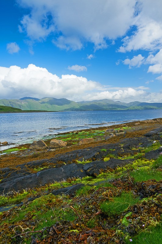 0624_52 - Scotland