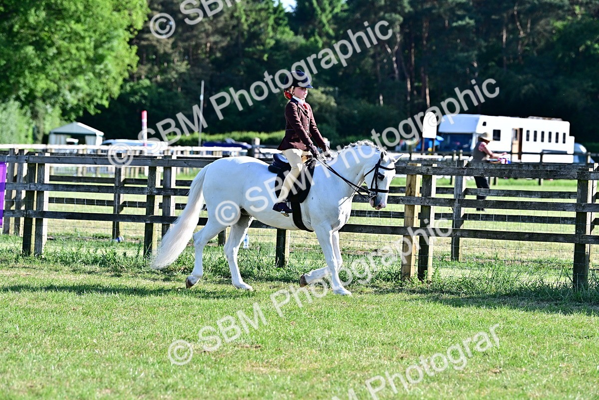 SBM_19875 - Class 103 - 105 - TSR Ridden Amateur of the Year Plaited Ponies