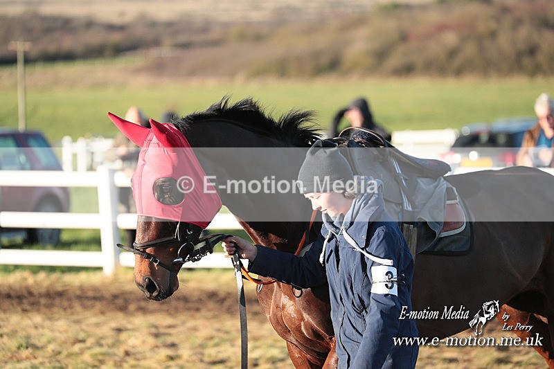 PtP 101223 1078 - New Forest Hounds PtP Larkhill 10/12/23