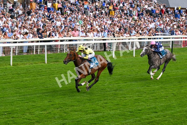 280625-Race 4-Hankelow-0520 - Race 4 3.40pm Al Basti Equiworld Dubai Novice Stakes