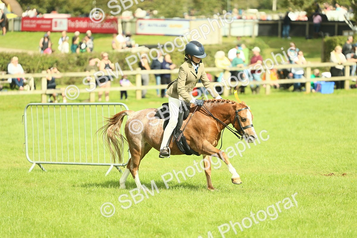 SBM_44833 - S31 - Working Hunter Pony