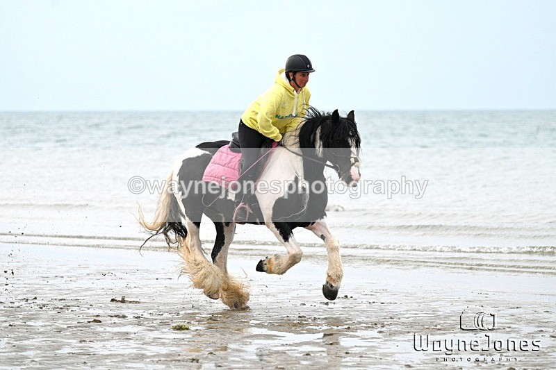 WJ7_9063 - Hayling Island Beach Shoot 22-09-24
