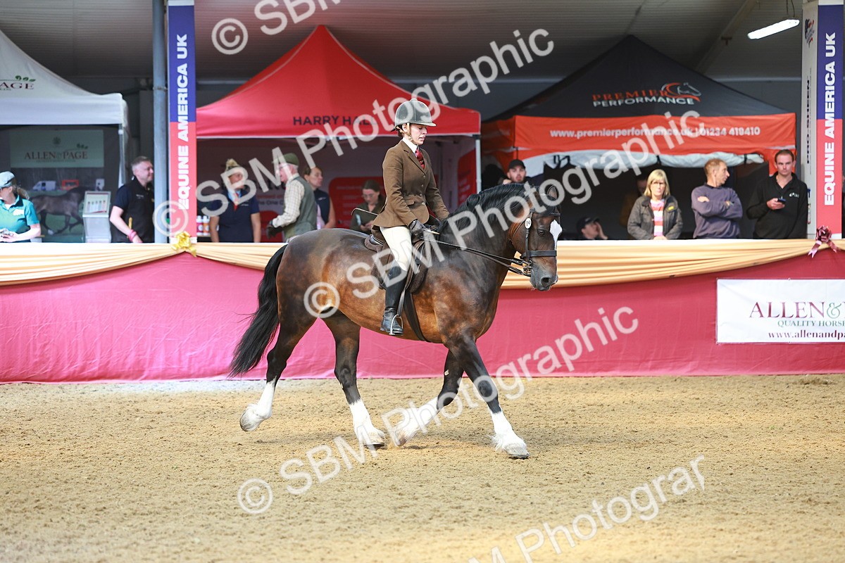 SBM_12591 - Class 103 - HOYS Veteran Qualifier - Ridden Pre Vet
