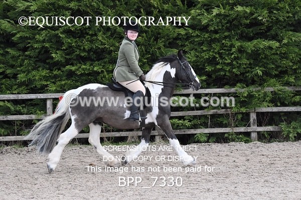 BPP_7330 - RING 1  (RIDDEN HORSES / IN HAND / VETERAN ETC)