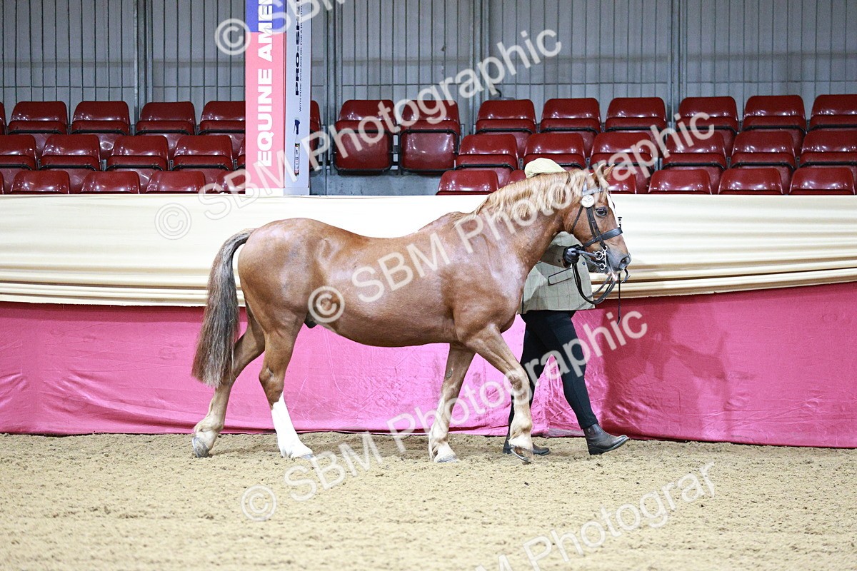SBM_00142 - Class 1A - Area IH Diamond