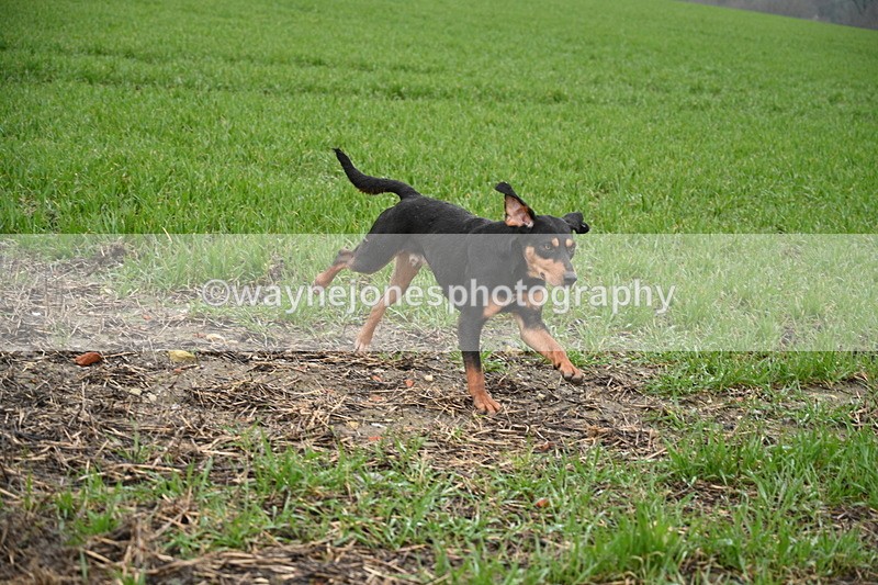 WJ7_9717 - Walk out..