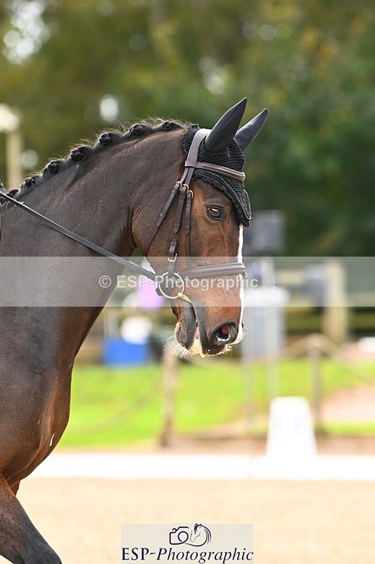 231021-134603-17711 - 350-DAZZLING.SPRINGTIME-Alice.Kneen-DR