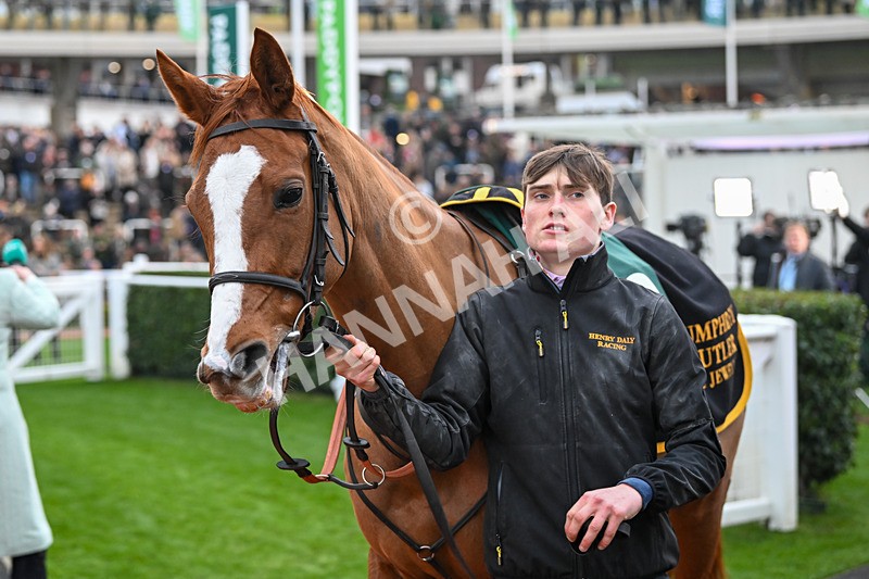 161124-Race 6-Paddock-Wyenot-1198