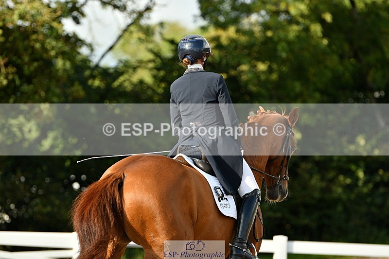 230912A-172651-02026 - Cls 23 FEI Grand Prix