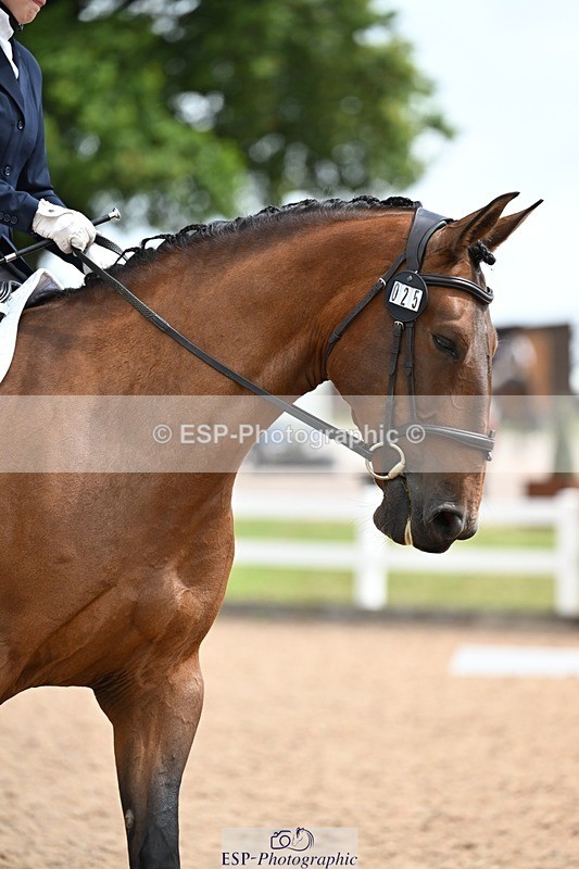 260704-111817-03508 - Cls 2C Snr Grassroots BRC Prelim A