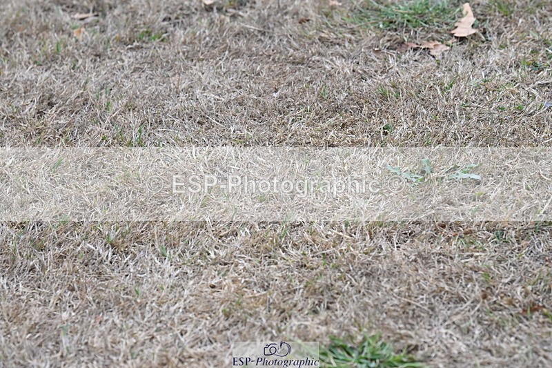 250820A-180856-12556 - Wednesday Presentations