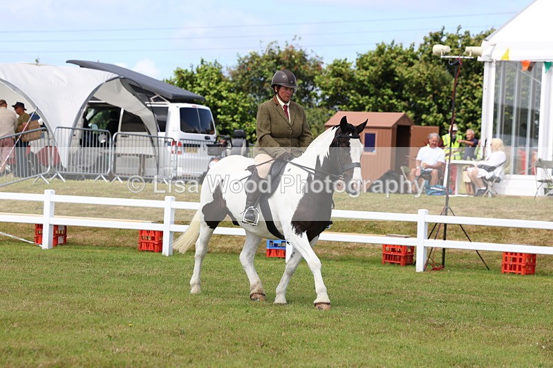 3E7A9923 - Class 5: Rising Star Lightweight/Heavyweight Cobs