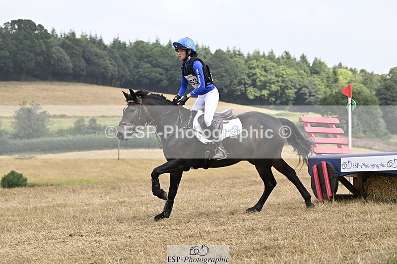 250824A-125823-36579 - 2053-Ava.Sampson-Chameleon