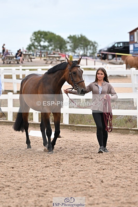 250716-160005-02323 - Trot Up 3.30 to 4.30
