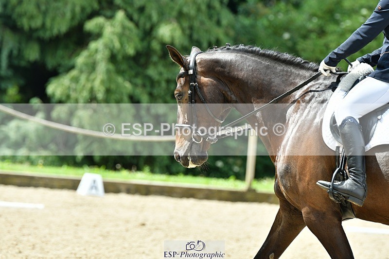 230623-112319-00437 - Cls 3 Novice 23 Start to 11.55 break