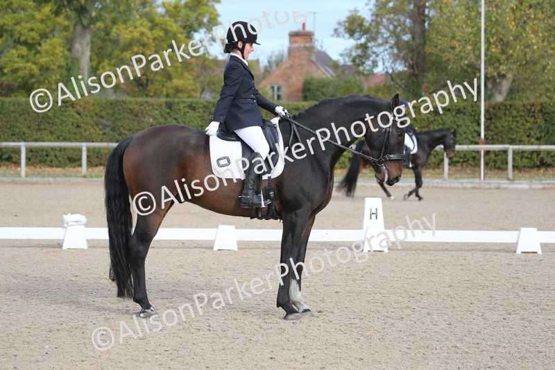 20261011-0226 - Class 4 - Novice 6