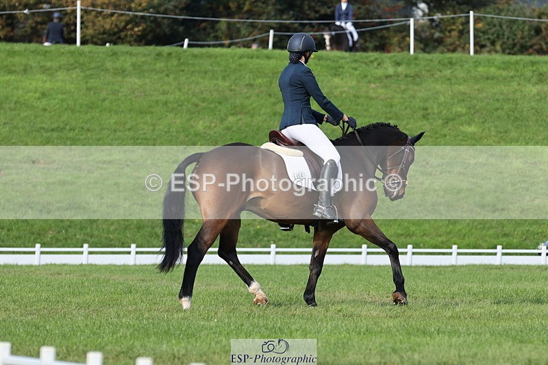 251024A-113900-10012 - D-354-Poppy.Burner