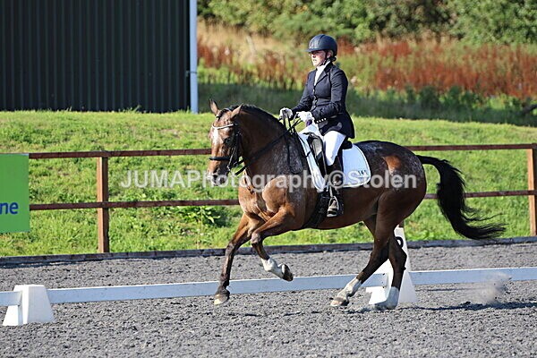 SIAL1528 - Saturday 16th 230pm till finish