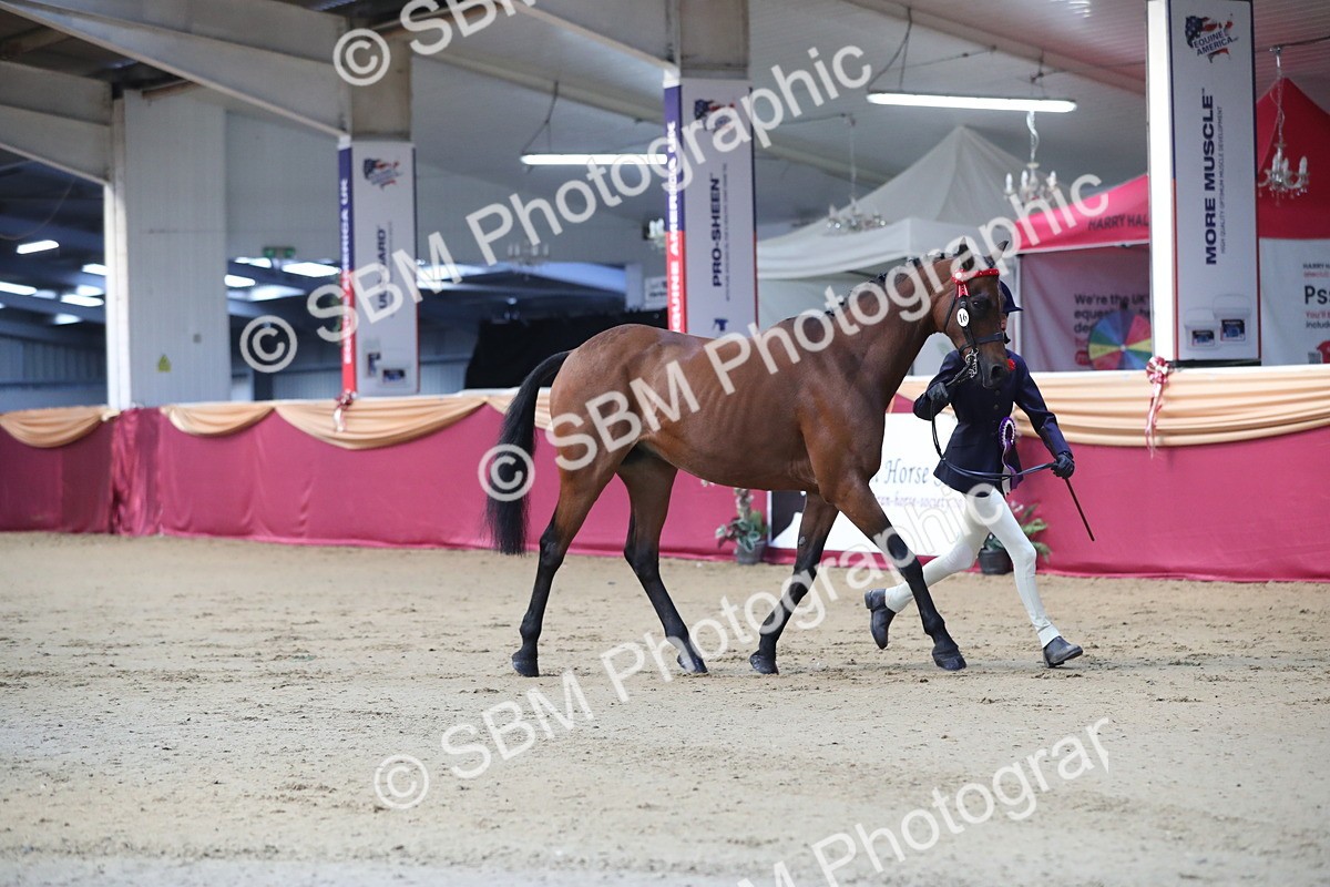 SBM_01418 - Class 3a Area IH Pre Vet