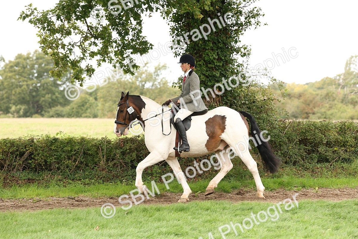 SBM_66358 - S66 - Hunter Ridden