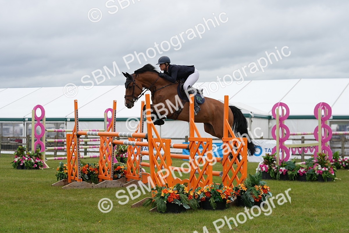 SBM_03249 - Class 201 - British Horse Feeds Speedi Beet Horse of the Year Show Grade  C