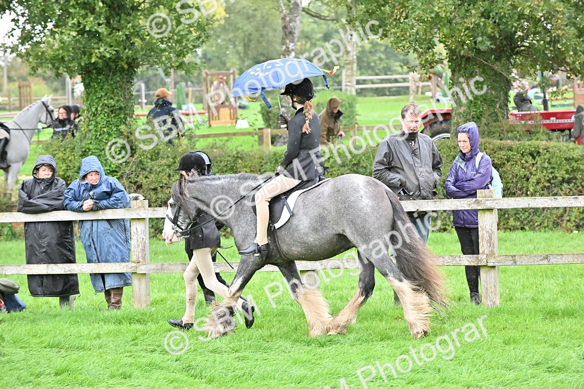 SBM_42986 - S12 - Family Horse & Pony