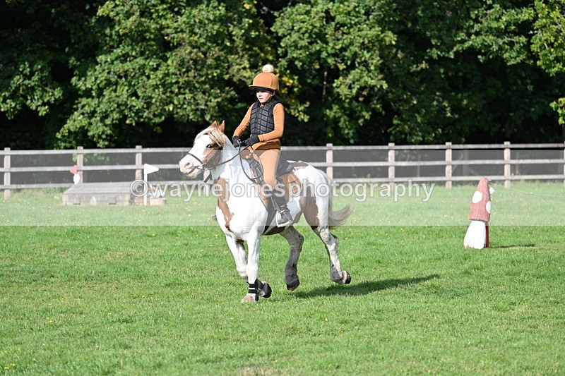 WJ7_3935 - 40cm Time 10:26 to 10:42