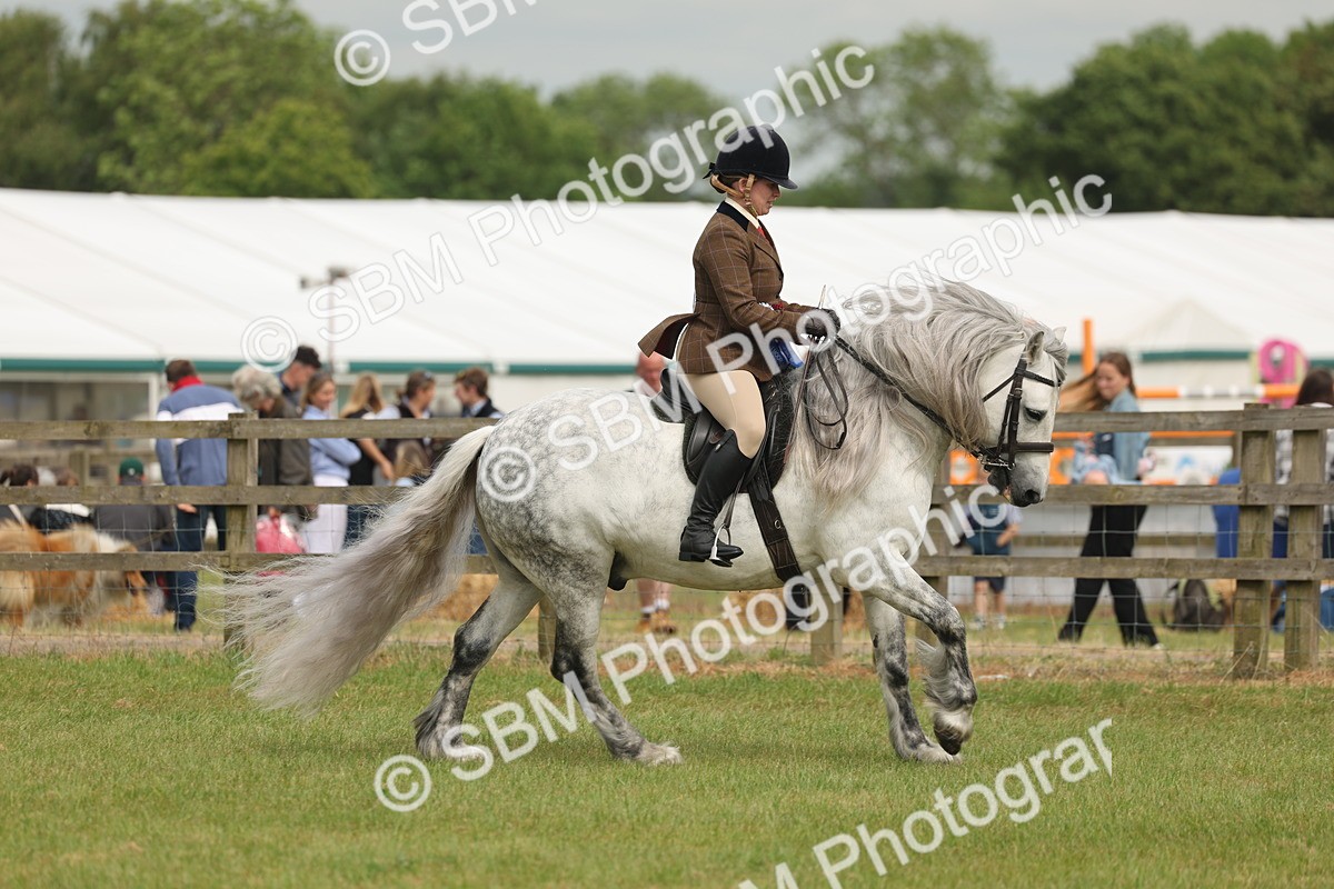 SBM_09164 - Class 78-80 - Ridden M&M Non Welsh Ponies