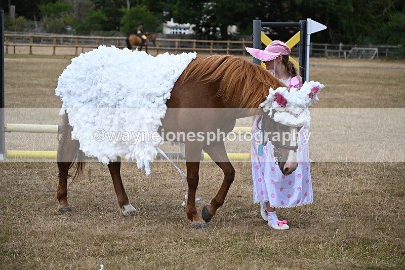 WJ6_8714 - Class 11 Fancy Dress