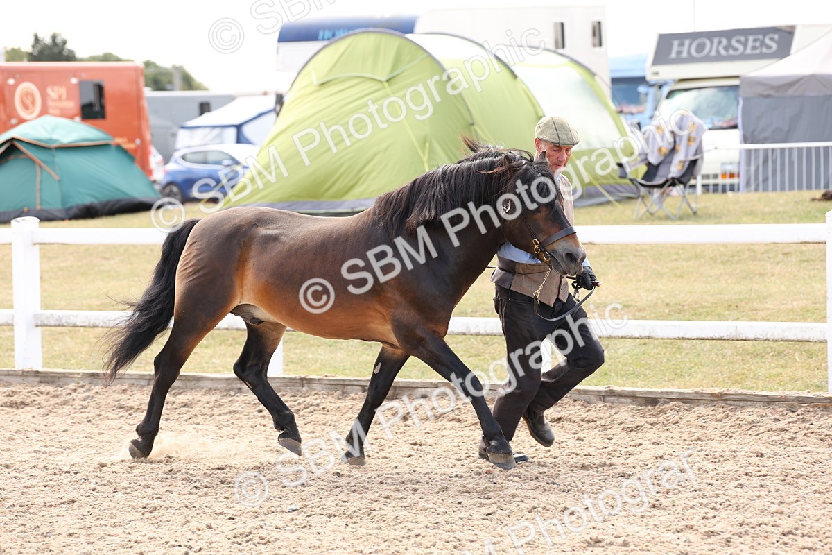 SBM_15069 - Class 209 - IH Veteran Pony