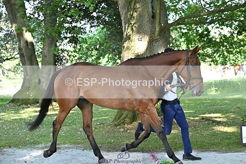 250521A-162124-01084 - C-216-Harrison.Chart-MY.KIND.OF.LADY