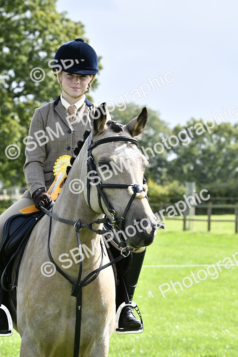 SBM_41682 - S32 - Mountain & Moorland Working Hunter Pony