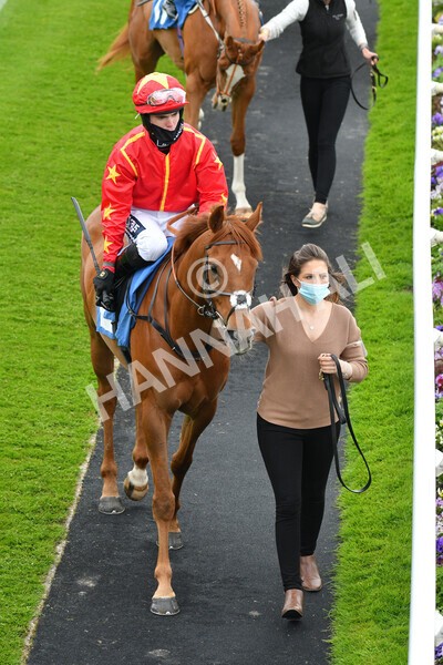 yr22052021r3-4 - Race 3 3.15pm William Hill Extra Place Races Stakes