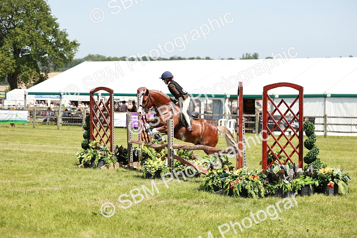SBM_15588 - Class 108-109 - BSPS LIHS Open Gradle & Nursery Stakes