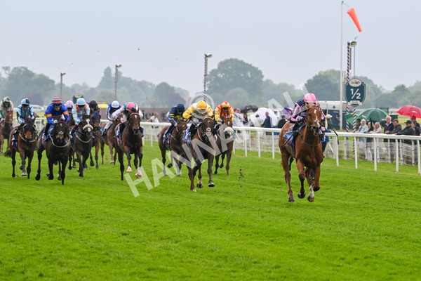 150524-Race 1-Crystal Delight-3556 - Race 1 2.15pm Sky Bet Race To The Ebor Jorvik Handicap