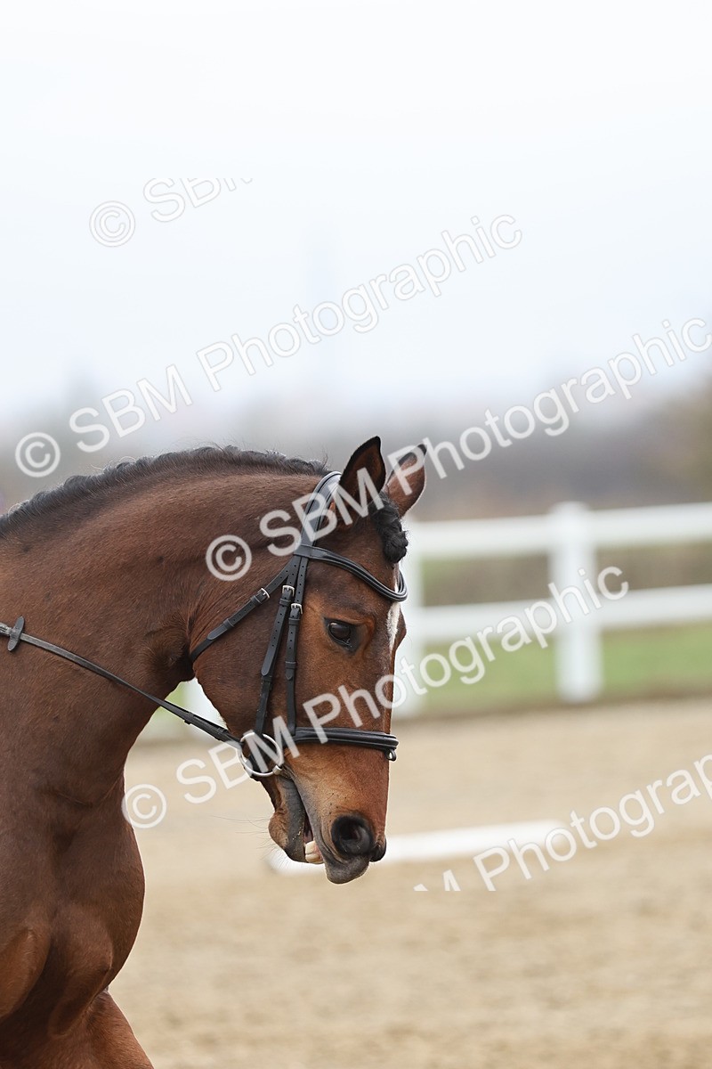 SBM_002082 - Prelim 1