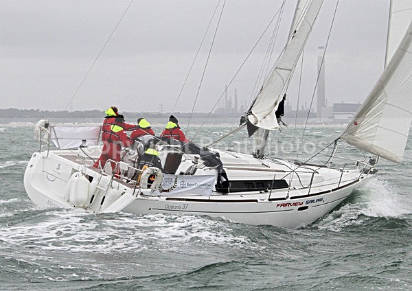 110622 MANGE TOUT FAIRVIEW FOOD  FARMING REGATTA IMG_3244 - 110622 FARM BUSINESS REGATTA