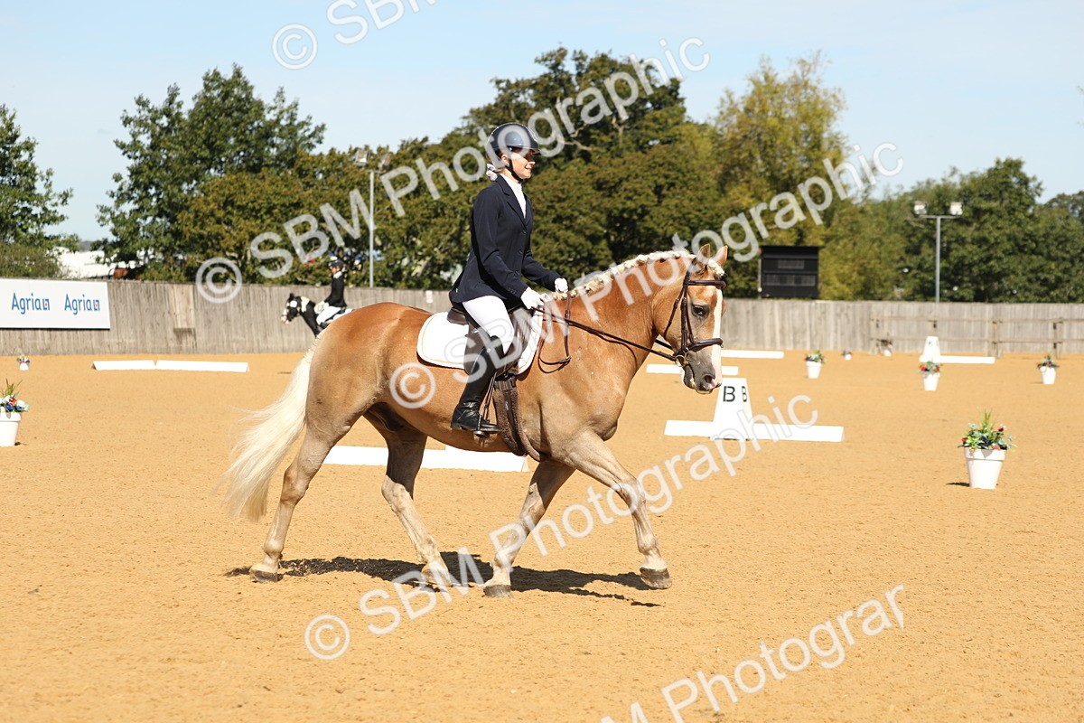 SBM_19731 - D10 - Small Tour Championship - Prelim 2