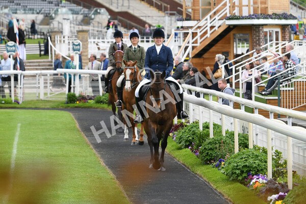 yr22052022r8e-22 - ROR - Parade Ring York
