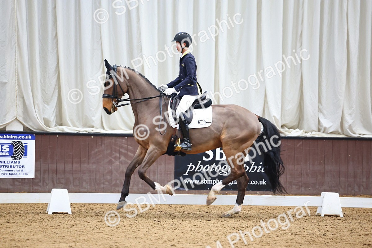 SBM_008141 - Class 21 - Medium 5