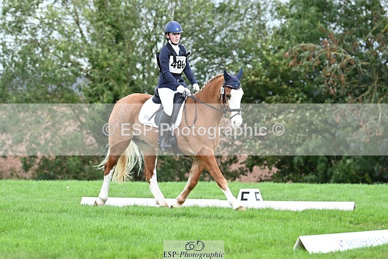 231020-143657-10687 - 499-GORFELYN.PETER.THE.GREAT-Charlotte.Bellamy-DR