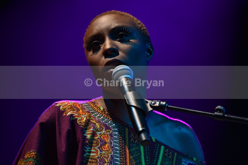 Womad 2015
